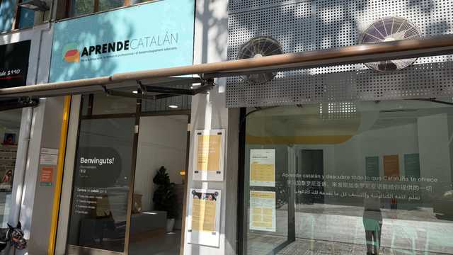 Profesor/a de Catalan