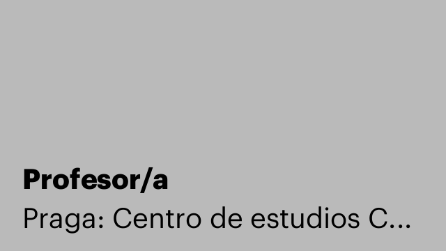 Profesor/a