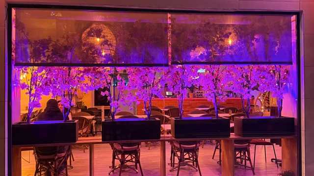 Camarero/a de Sala/Terraza