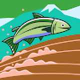 Proto cevicheria avatar icon