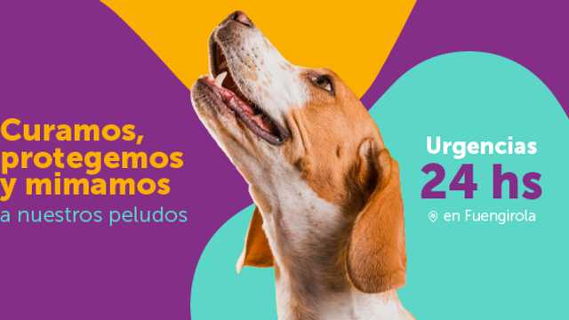 Veterinario/a