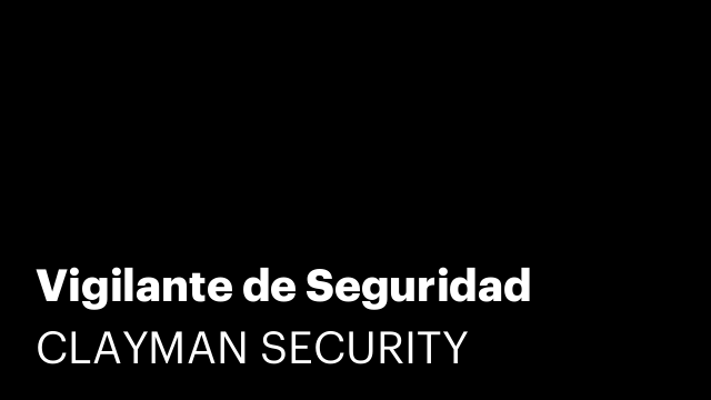 Vigilante de Seguridad