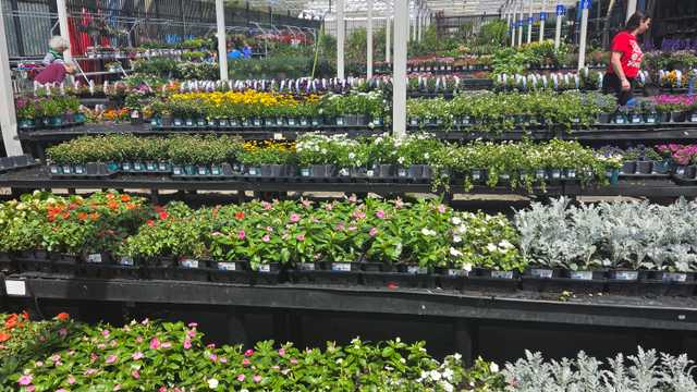 Garden Center Merchandiser
