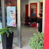 Set Belleses Denia P. avatar icon