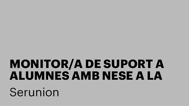 MONITOR/A DE SUPORT A ALUMNES AMB NESE A LA SEU D'URGELL [SMDSC]