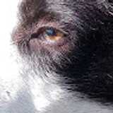 Jordi G. avatar icon