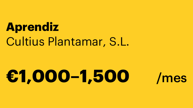 Aprendiz