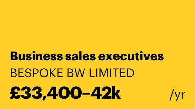 Business sales executives