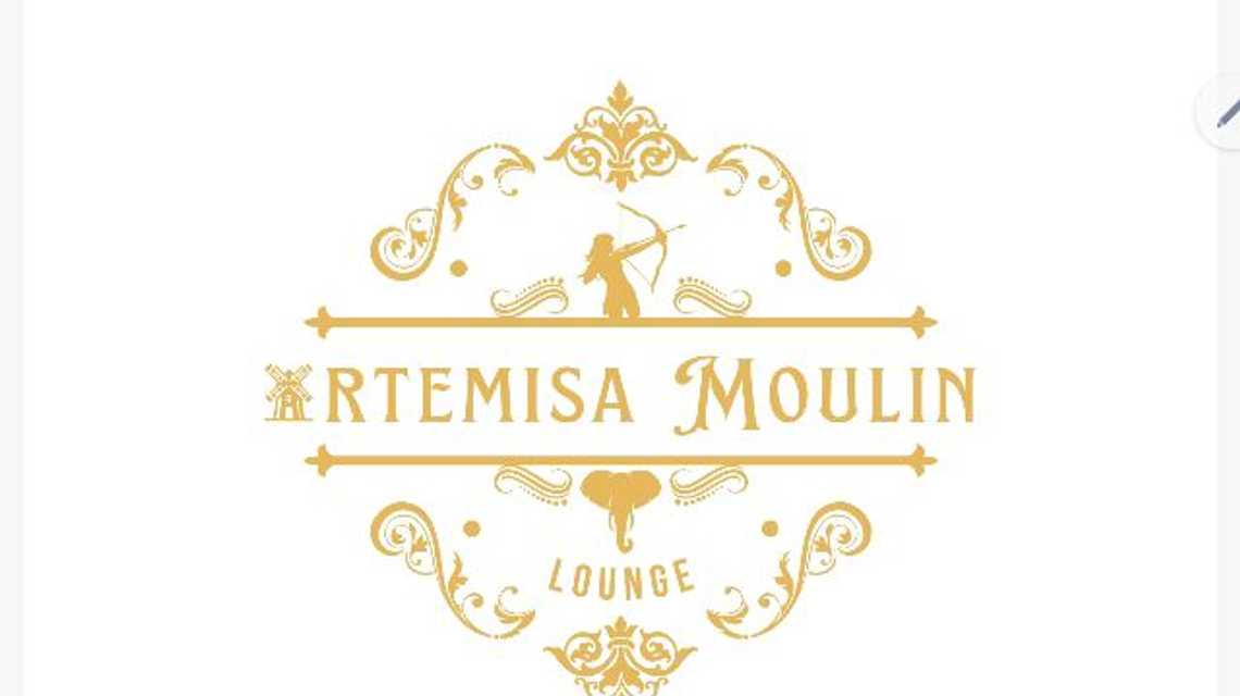 Artemisa Moulin Lounge | Restaurante con espectáculo Madrid cover image