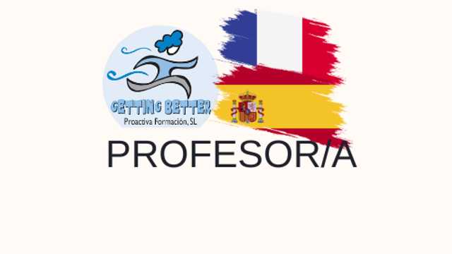 Profesor/a