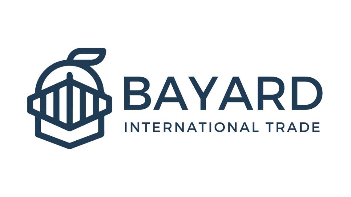 Bayard INTERNATIONAL cover image