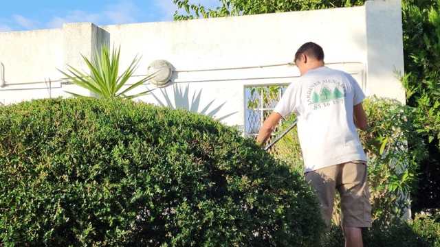 Jardinero/a