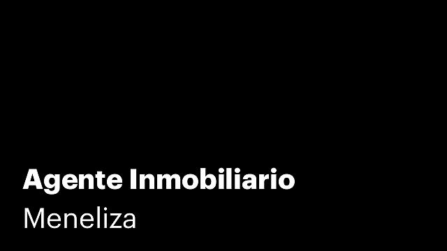 Agente Inmobiliario