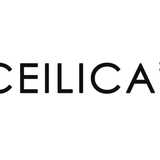 CEILICA INNOVACIÓN S.L. logo