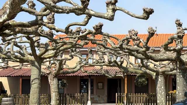 Ayudante/a de Cocina