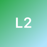 LI-LUX INTERNATIONAL 2. avatar icon