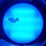 Cesar C. avatar icon