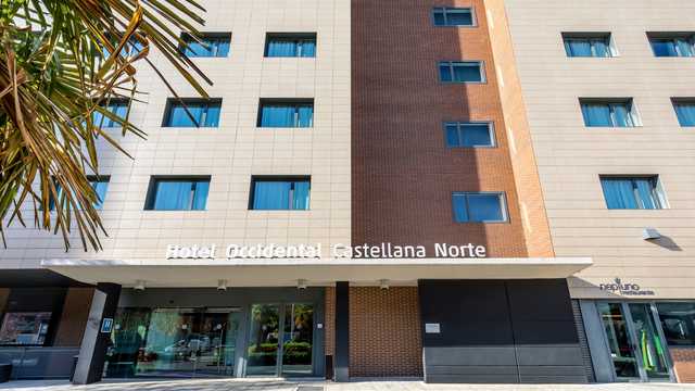 Ayudante/a de Camarero/a