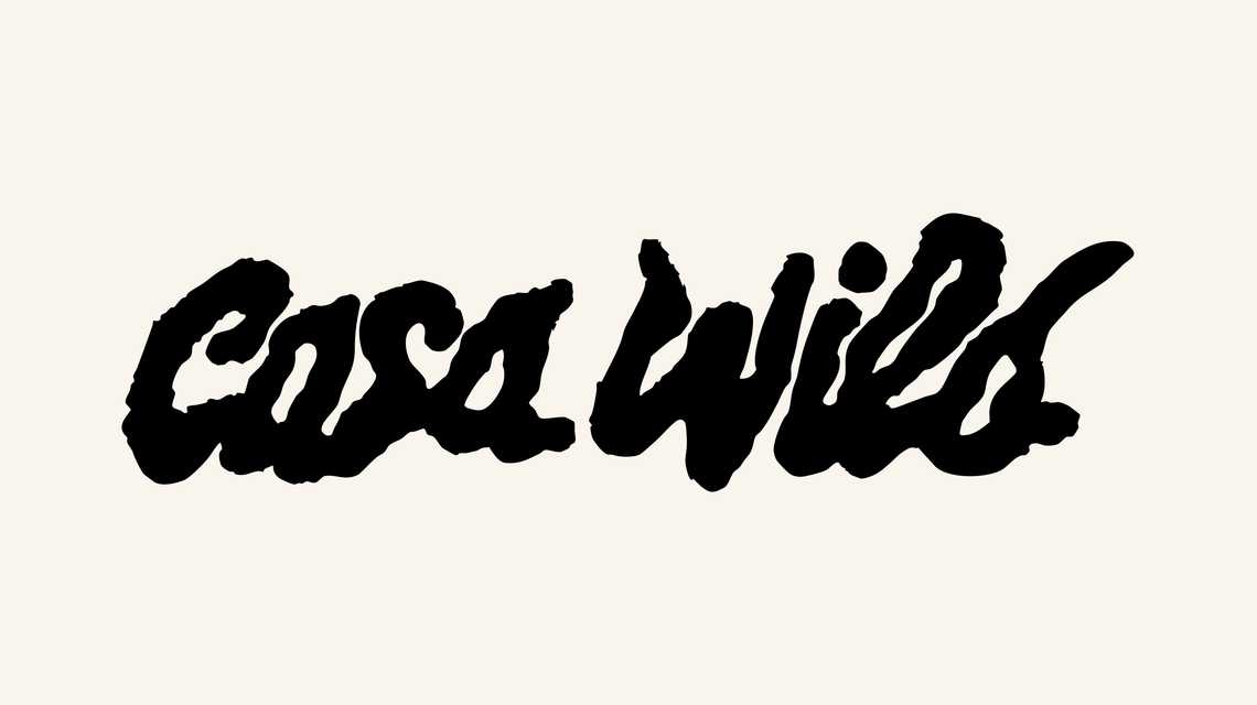 CASA WILD cover image