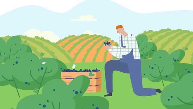 Técnico Junior de Control de la calidad