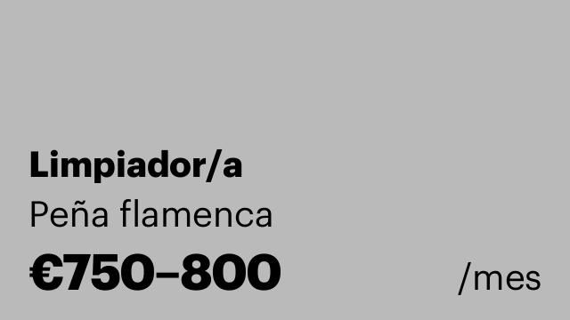 Limpiador/a
