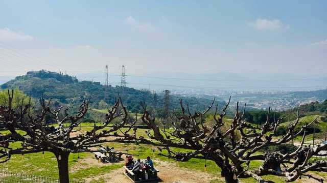 Camarero/a de Sala/Terraza