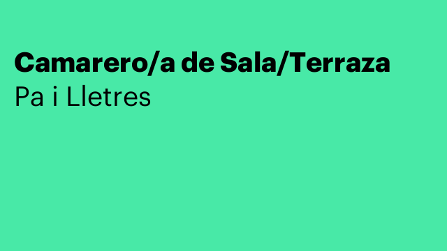 Camarero/a de Sala/Terraza