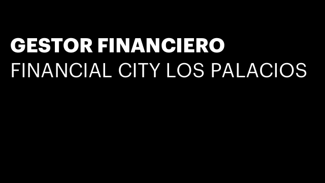 GESTOR FINANCIERO