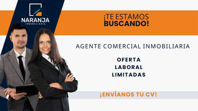Coordinador/a