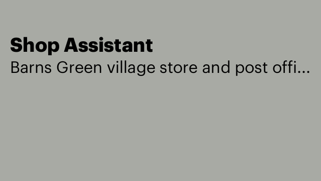 Shop Assistant