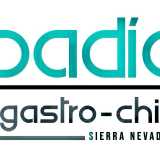 BADIA SIERRA NEVADA logo