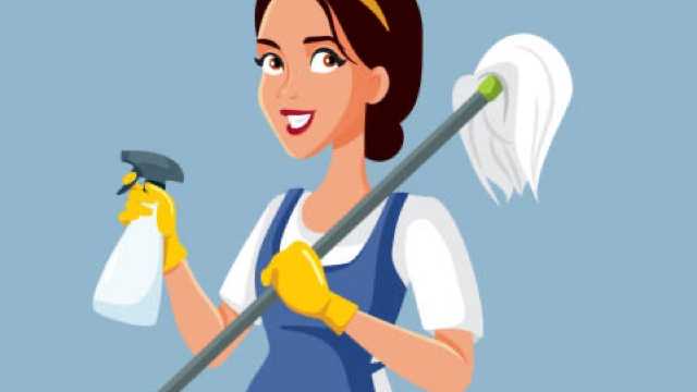 Cleaner