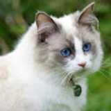 Vanessa G. avatar icon