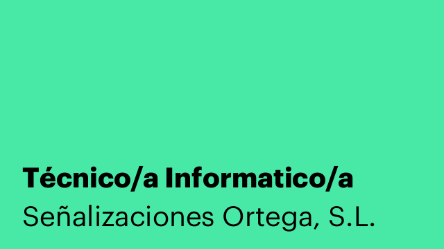 Técnico/a Informatico/a