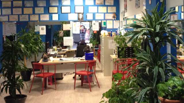 Auxiliar Administrativo y Atención al Cliente - Autoescuela
