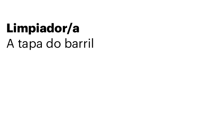 Limpiador/a