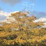 Dylan W. avatar icon