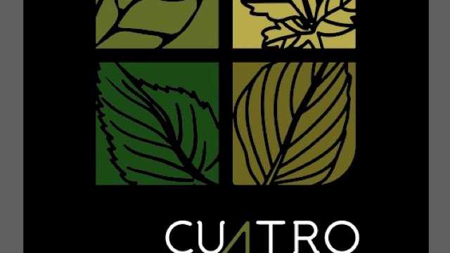 Cocinero/a Restaurante