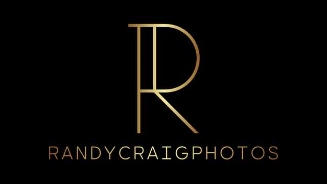 Personal Assistant (PA)