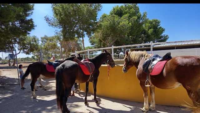 Camarero/a