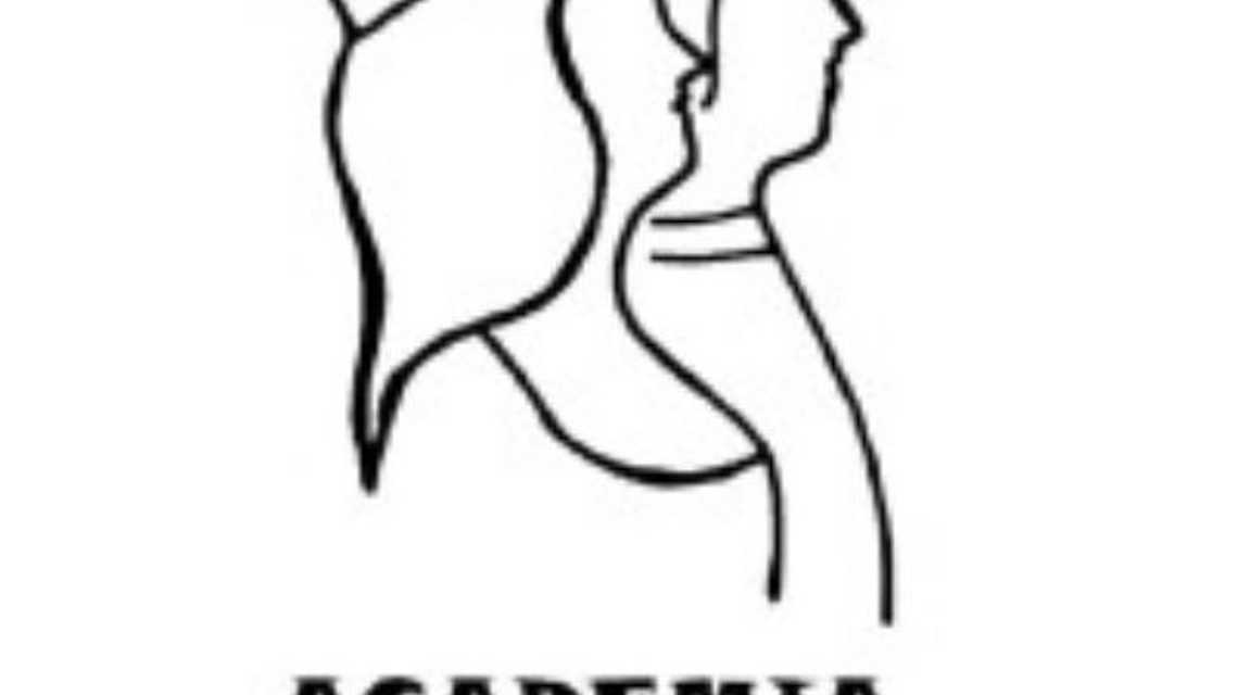 Academia Reyes Católicos cover image