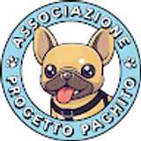 Giorgio F. avatar icon
