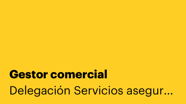 Gestor comercial