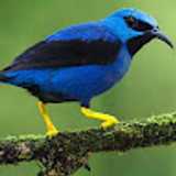 Partner S. avatar icon