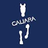 Hipica G. avatar icon