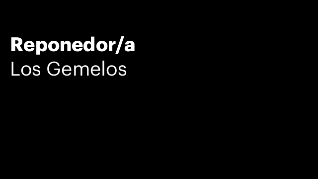 Reponedor/a