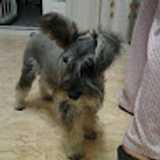 Mayte R. avatar icon