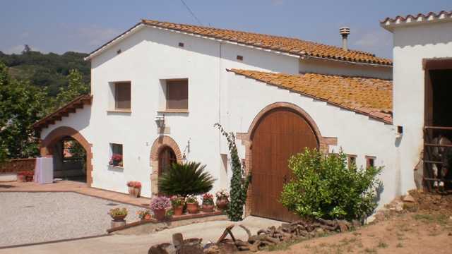 Cocinero/a o Ayudante/a de Cocina