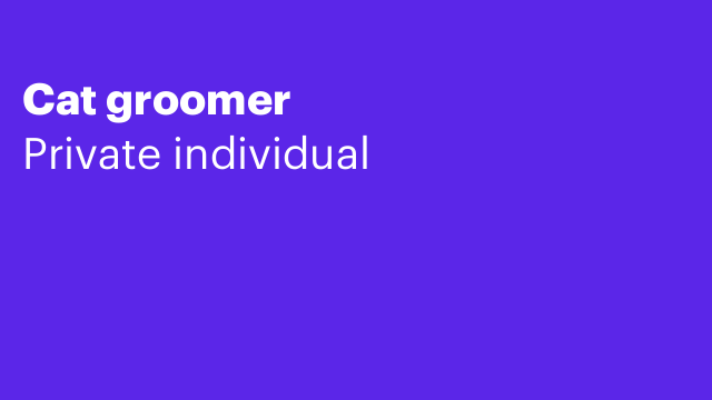 Cat groomer