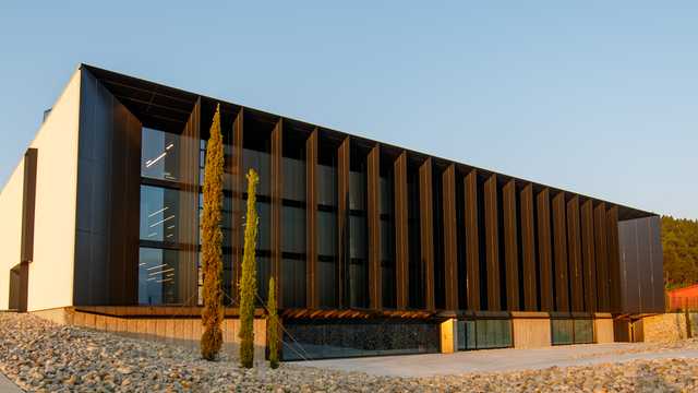 Pintor/a
